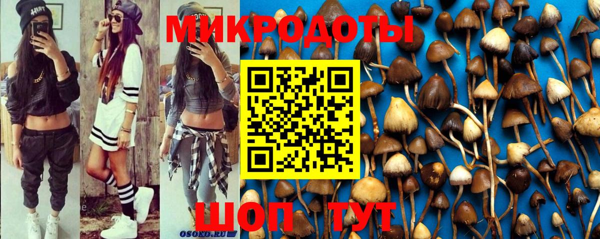 Галлюциногенные грибы GOLDEN TEACHER Артём